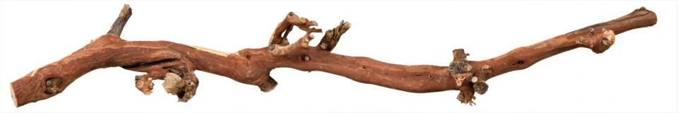 Trixie Vingren Vandblæst 55-75 cm